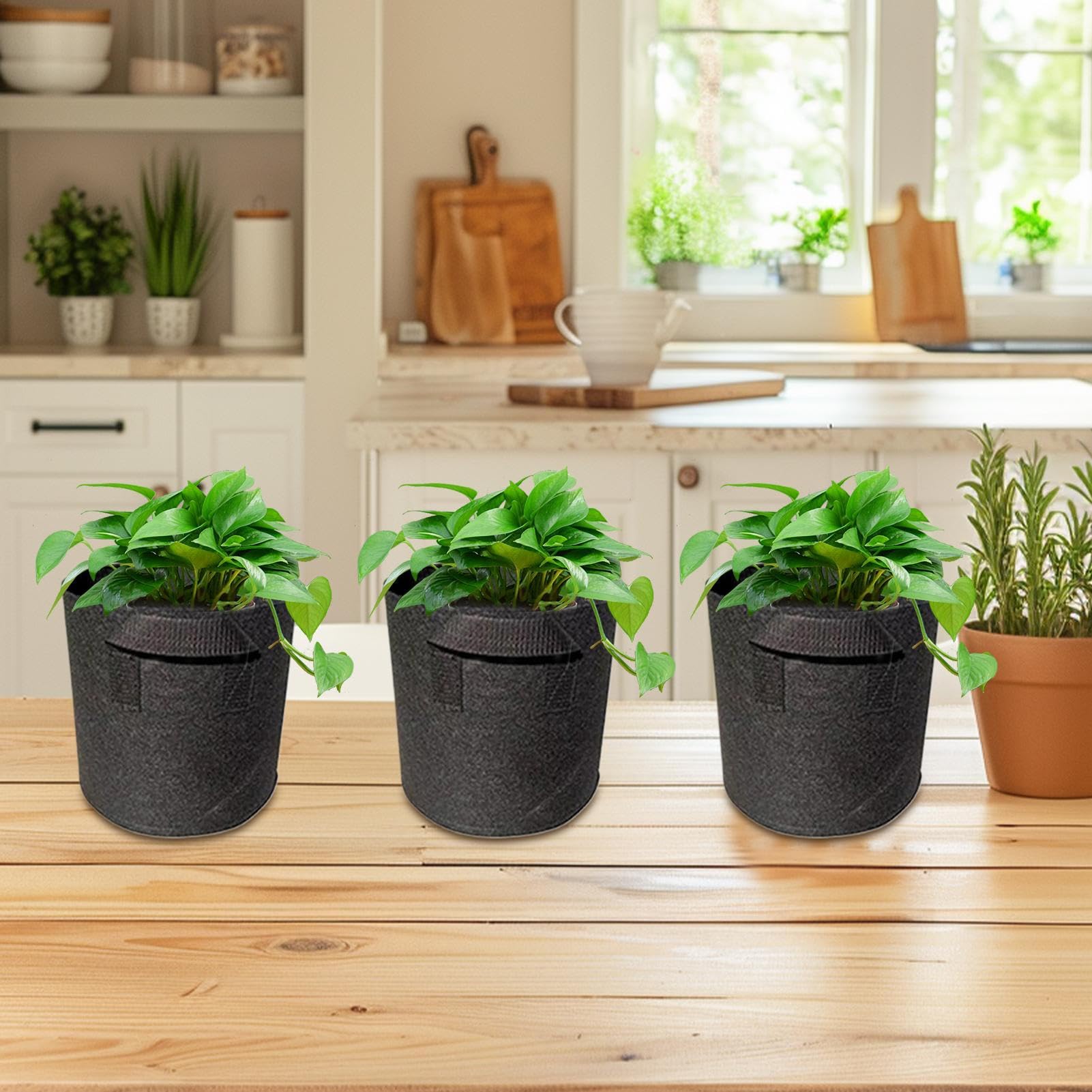 Generico Vasi per Piante da Laghetto | Contenitore Per Laghetto In Tessuto Non Tessuto,per Giardino Acquatico Pieghevole Leggero Facile da Conservare Utilizzabile in Cortile