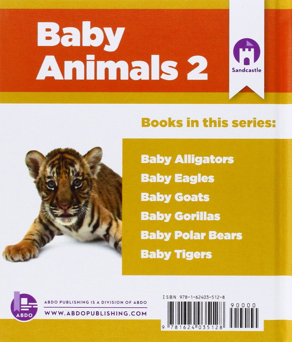 Baby Tigers (Baby Animals 2)