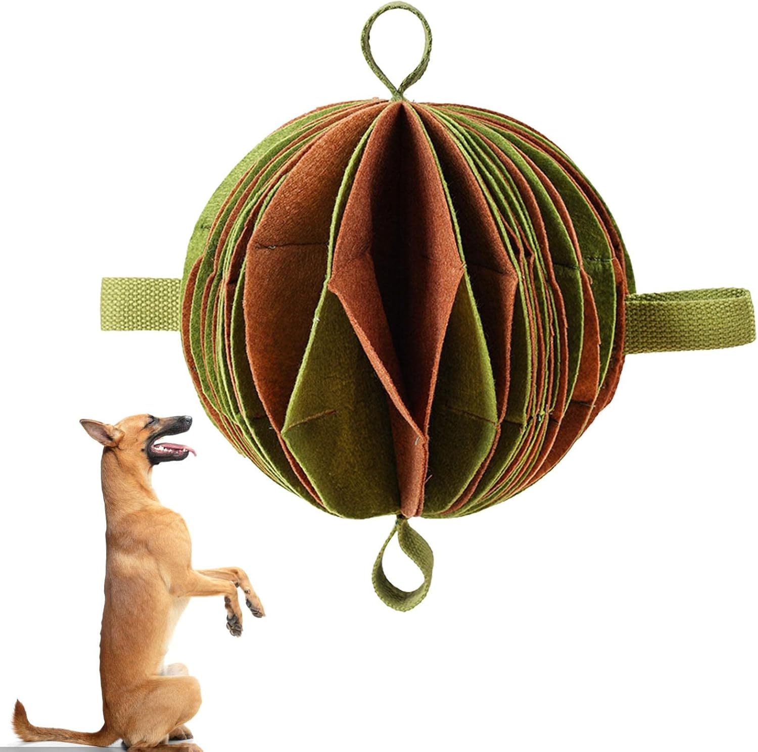 犬のインタラクティブな噛むおもちゃ 犬用の安全なポリエステル製噛むおもちゃ ペット 犬のインタラクティブな噛むおもちゃ 犬用の安全なポリエステル製噛むおもちゃ ペット