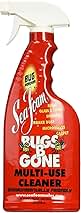 Sea Foam BBG1 Cleaner