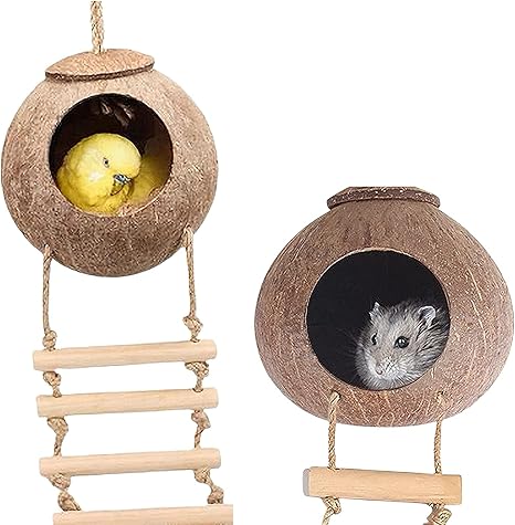 Amazon Co Jp インコの鳥のおもちゃ巣箱とまり木はしごハムスターモモンガ小動物ケージ眠っているココナッツハウス便利で実用的 ペット用品