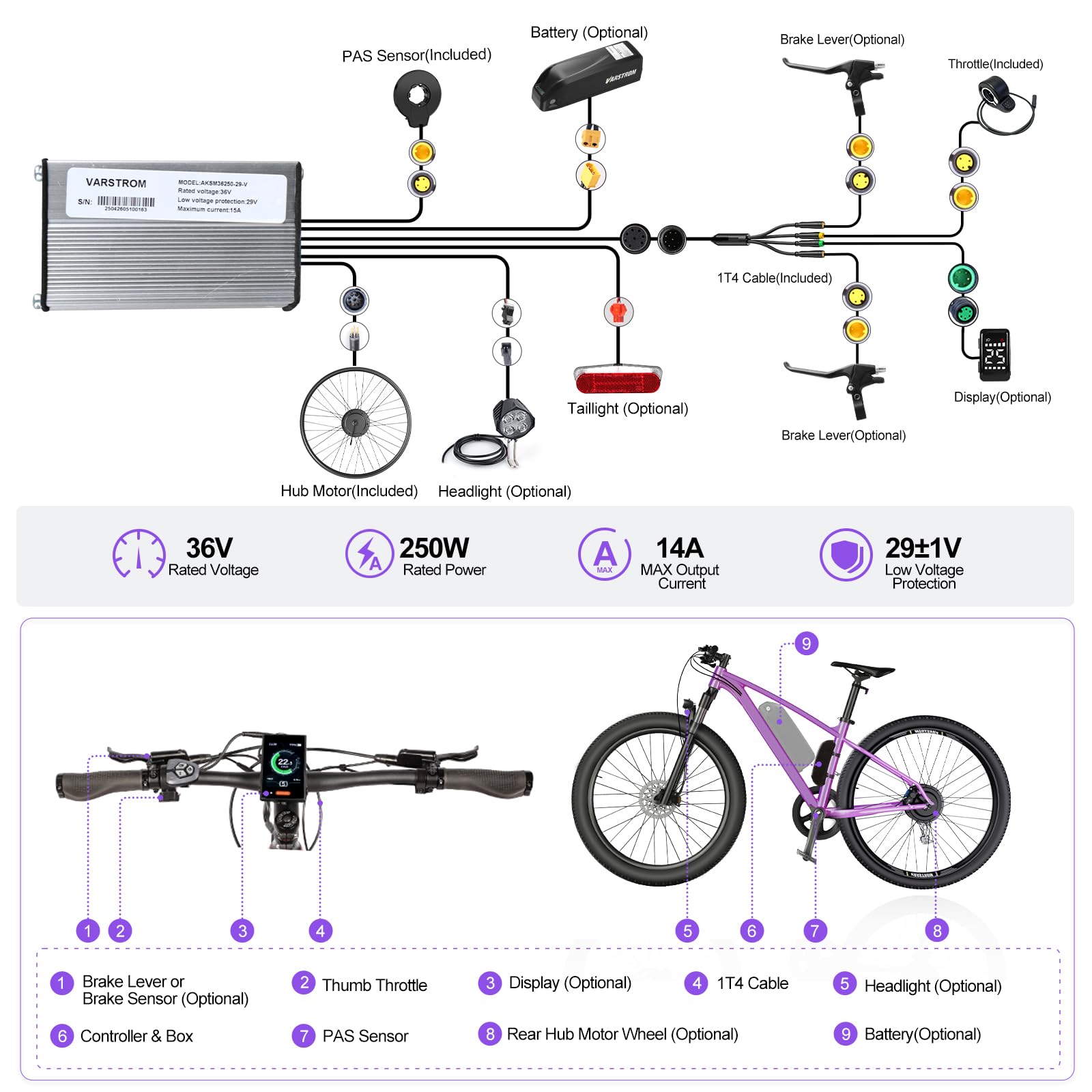 36V 250W Kit Conversion Velo Electrique Moyeu Arrière 26 27,5 29 | 28 Kit Vélo Electrique Roue Arrière Avec Ecran Batterie Option, Moteur pour VTT Roue Libre Frein Disque Entraxe 136-142mm