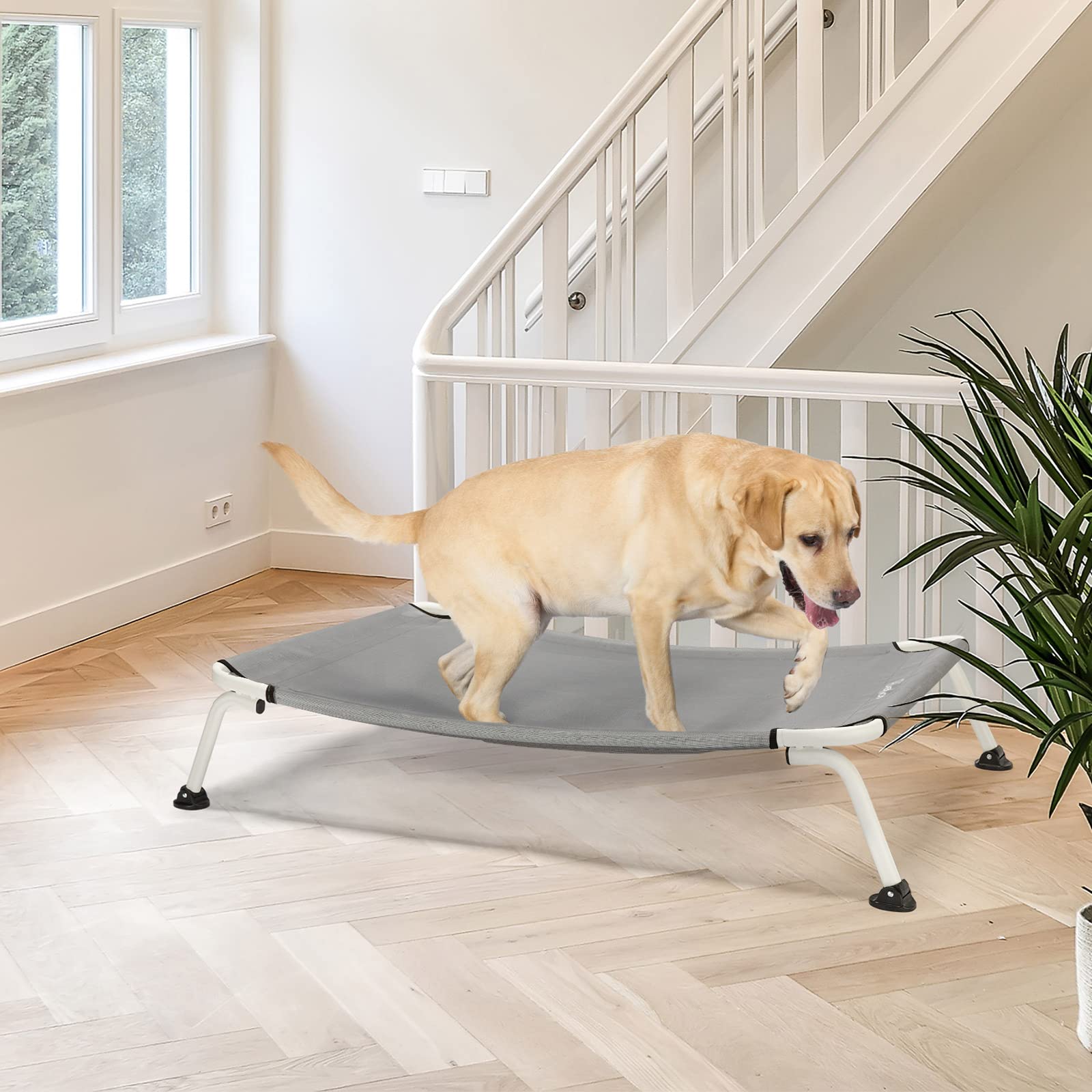 Veehoo Curved Cooling Elevated Dog Bed, White Frame Outdoor Raised Dog Cot, Chew Proof Pet Bed with Washable & Breathable Textilene Mesh, Non-Slip Feet for Indoor & Outdoor, X-Large, Grey, CWC2303B
