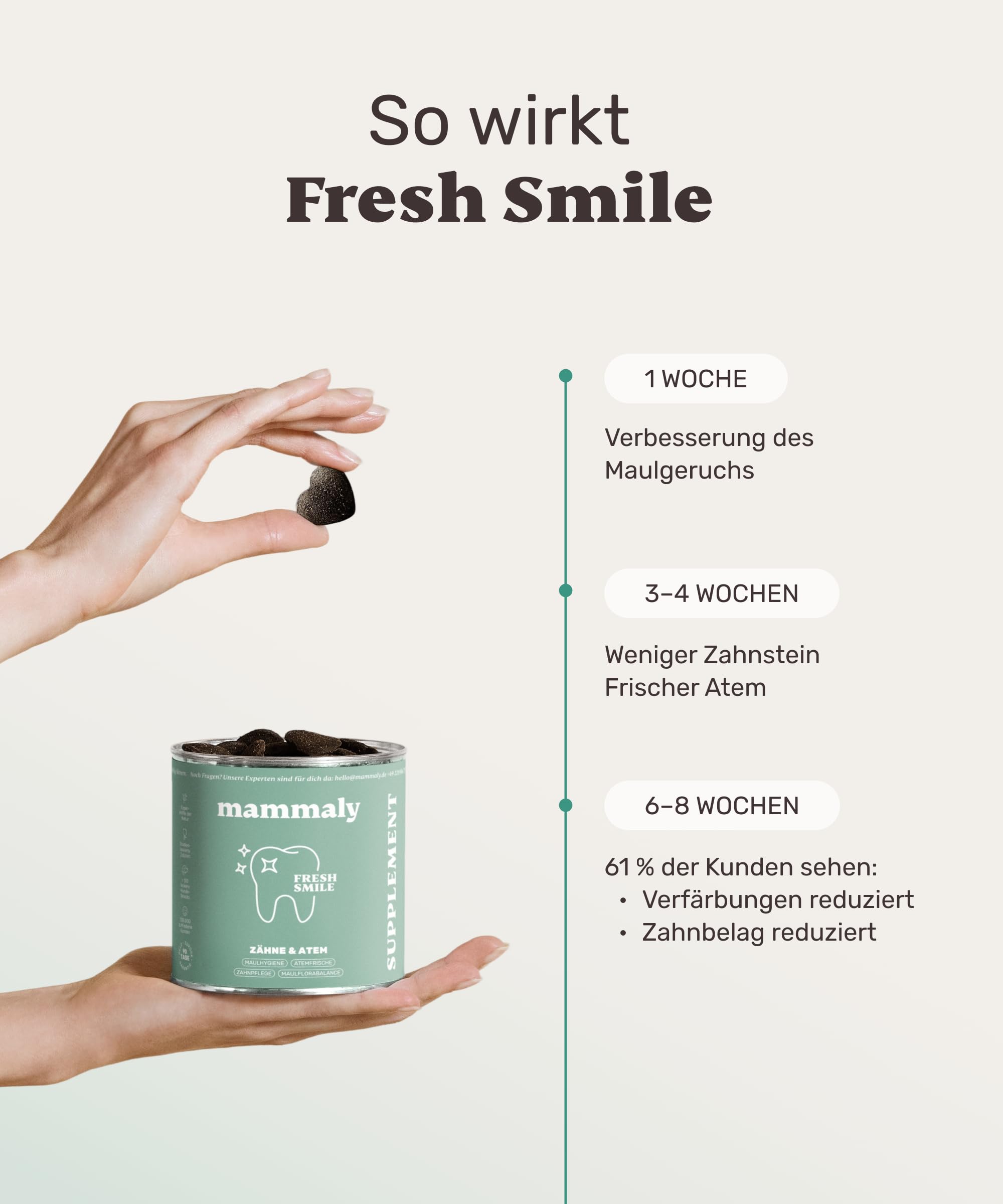 10-in-1 Zahnpflege Leckerli für Hunde - Fresh Smile 440 Snacks (1300g) von mammaly - Gegen Mundgeruch, Zahnstein mit Pfefferminz, Seealge, Vitamin C, Petersilie u. v. m. für Maulhygiene, Mundpflege
