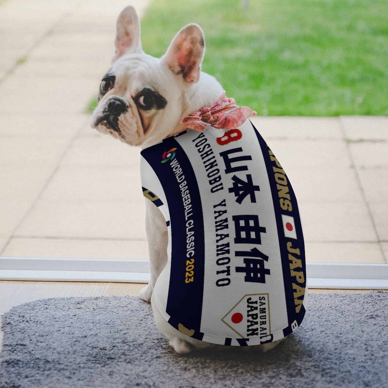 Amazon | 侍ジャパン 番號18 山本 由伸 野球応援 犬服 Tシャツ 小中型