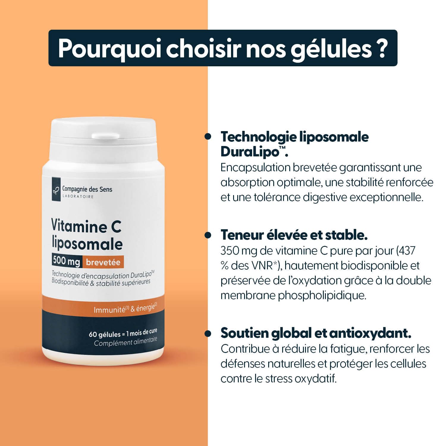 540 gélules - Vitamine C liposomale DuraLipo™ 500 mg - Biodisponibilité supérieure - Libération prolongée