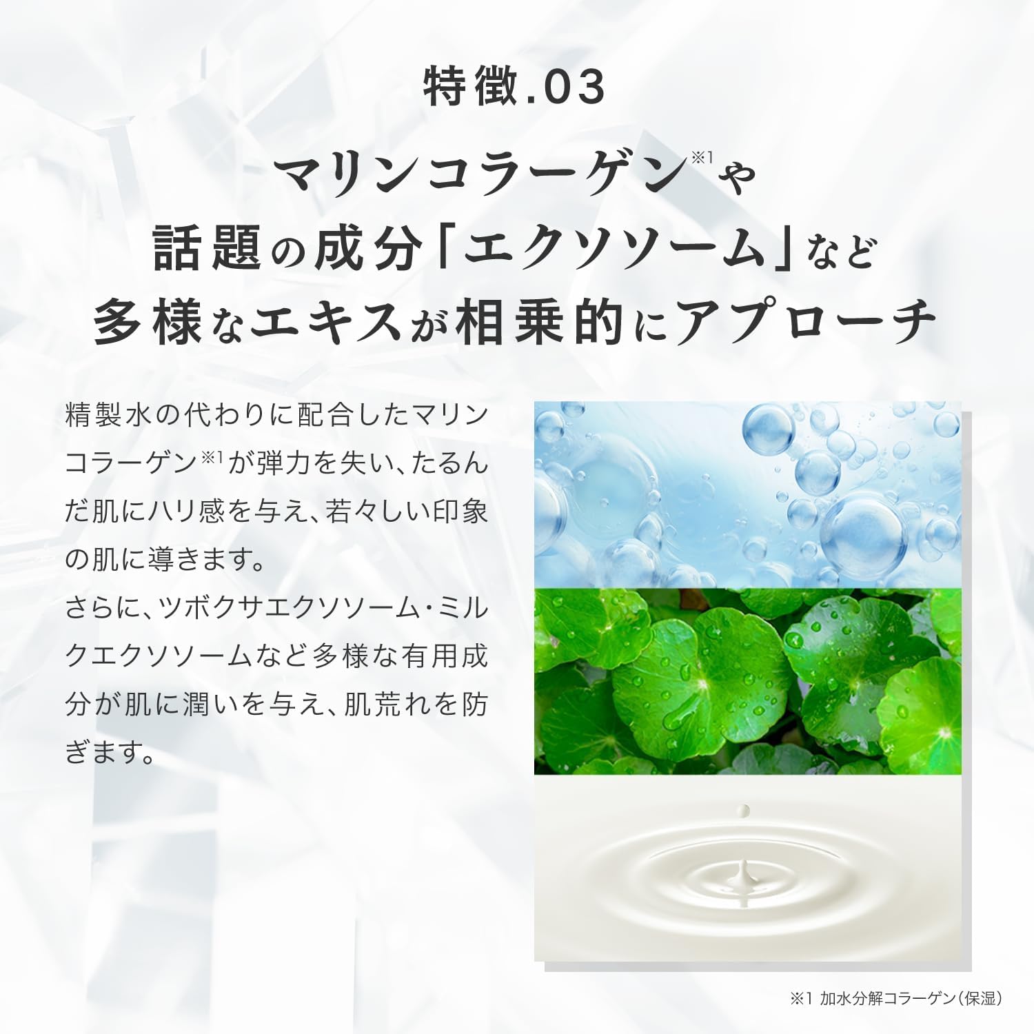 スピケア V3 ブリリアントファンデーション 詰替 【2個】正規品