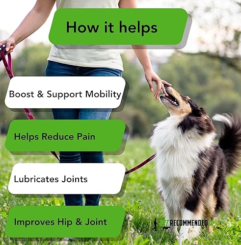 Miniatura 3 de Vet Recommended Suplemento masticable para cadera y articulaciones para perros pequeños y medianos - Masticables con glucosamina, MSM y condroitina