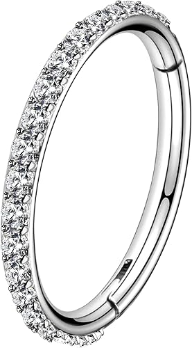 Amazon.com: OUFER Nose Rings Silver, 20G Double Hoop 8MM Nose Rings, Seamless Stainless Steel Rook Daith Piercing Jewelry for Women & Men : Clothing, Shoes & Jewelry