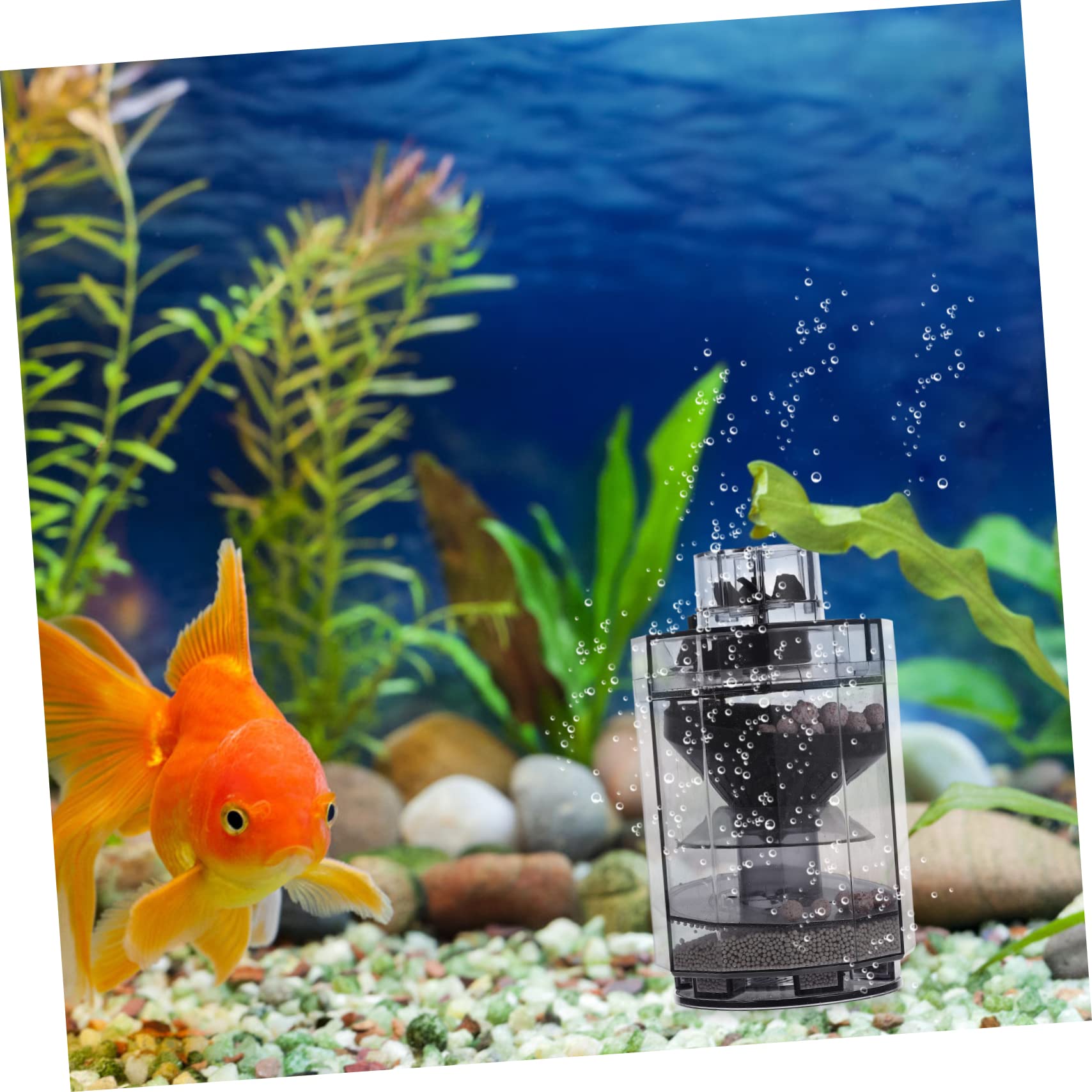 HOMSFOU 5stücke Fish Tank Siphon Pumpe Effizienter Aquarienreiniger Für Kies Automatisches Entleeren Für Kleine Und Große Aquarien Mühelose Entfernung Von Fischkot Und Rückständen