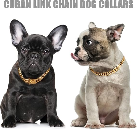 Gold Chain Dog Collar 16MM 18K Gold Cuban Link Dog Collar with Secure Snap Buckle Gold Dog Chain Metal Collar for Small Pitbull (16MM, 10)