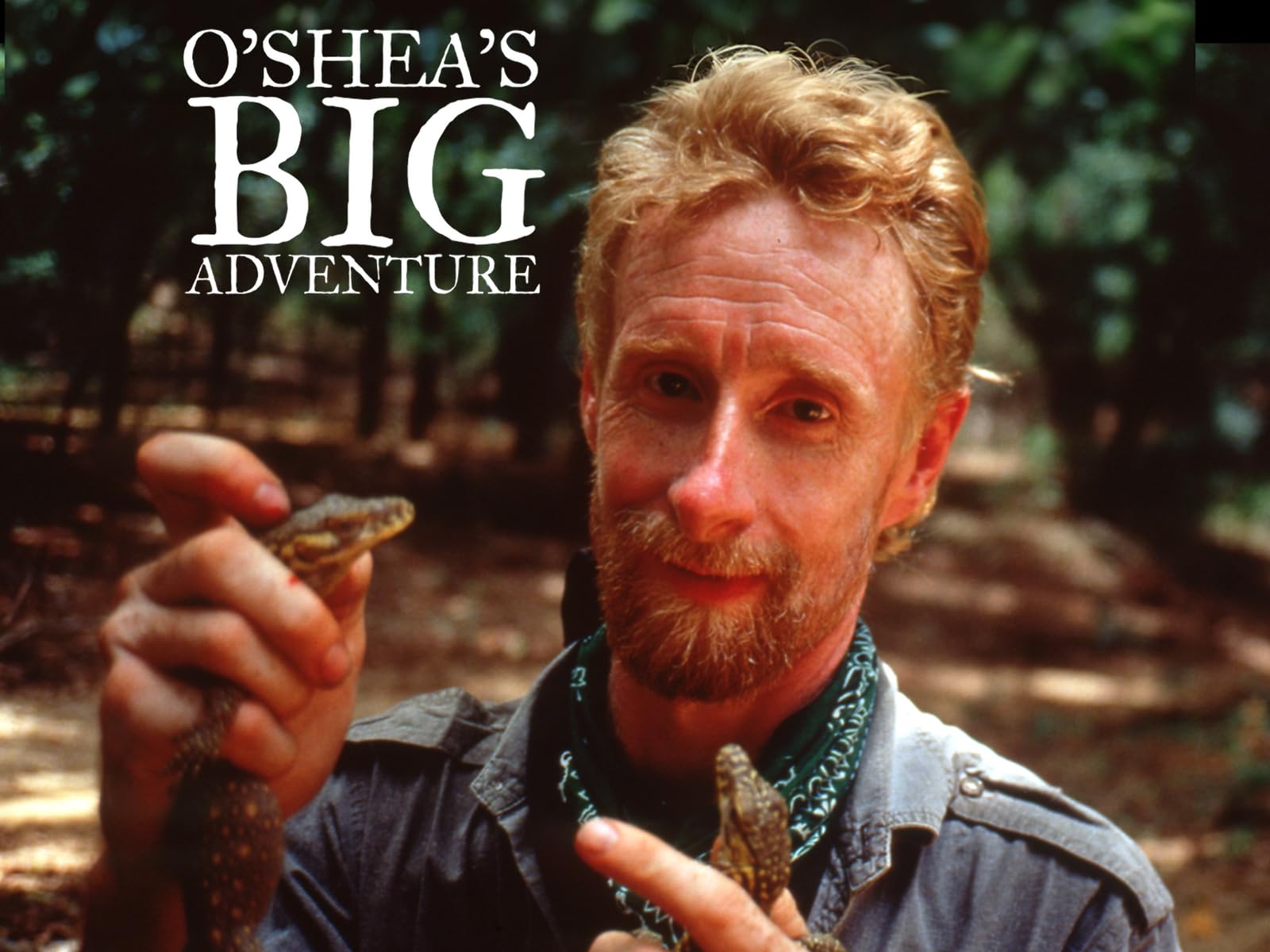 O'Shea's Big Adventure