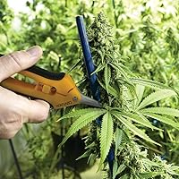 Vista 3 de Centurion 197 Precision Garden Snip