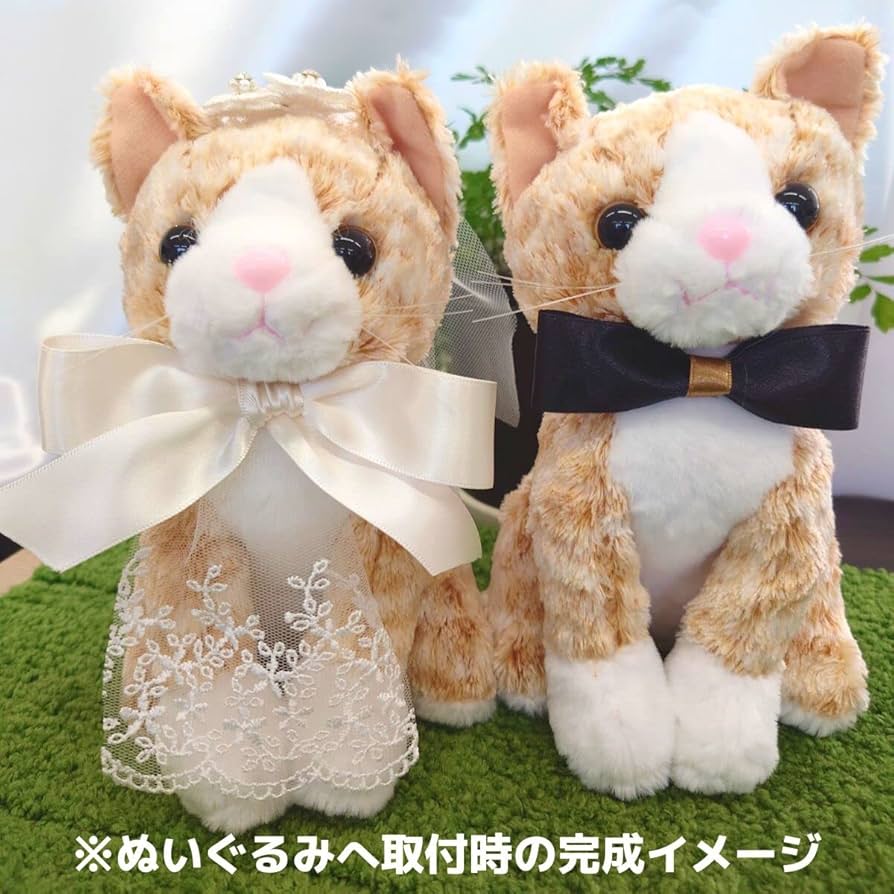 71iU-QN75fL._AC_UF894,