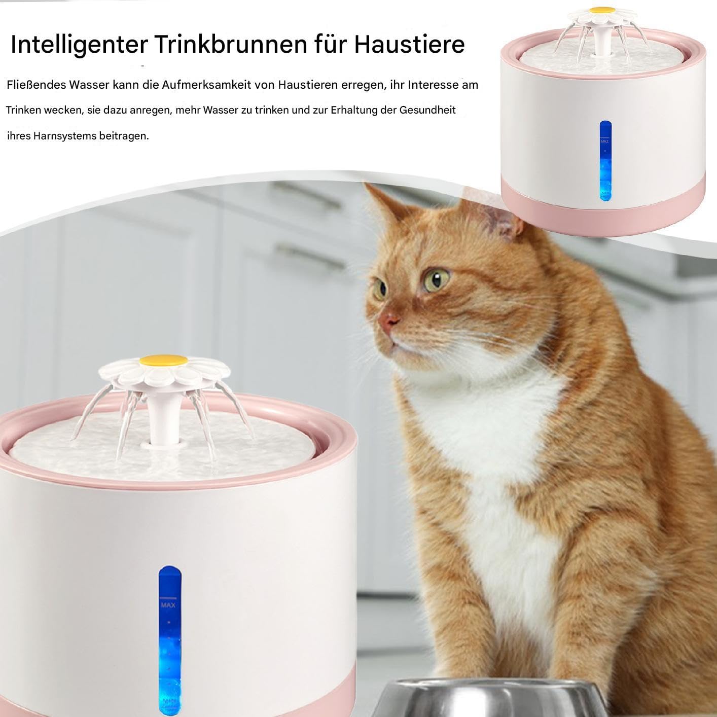 Dispensador de Agua para Perros Recargable