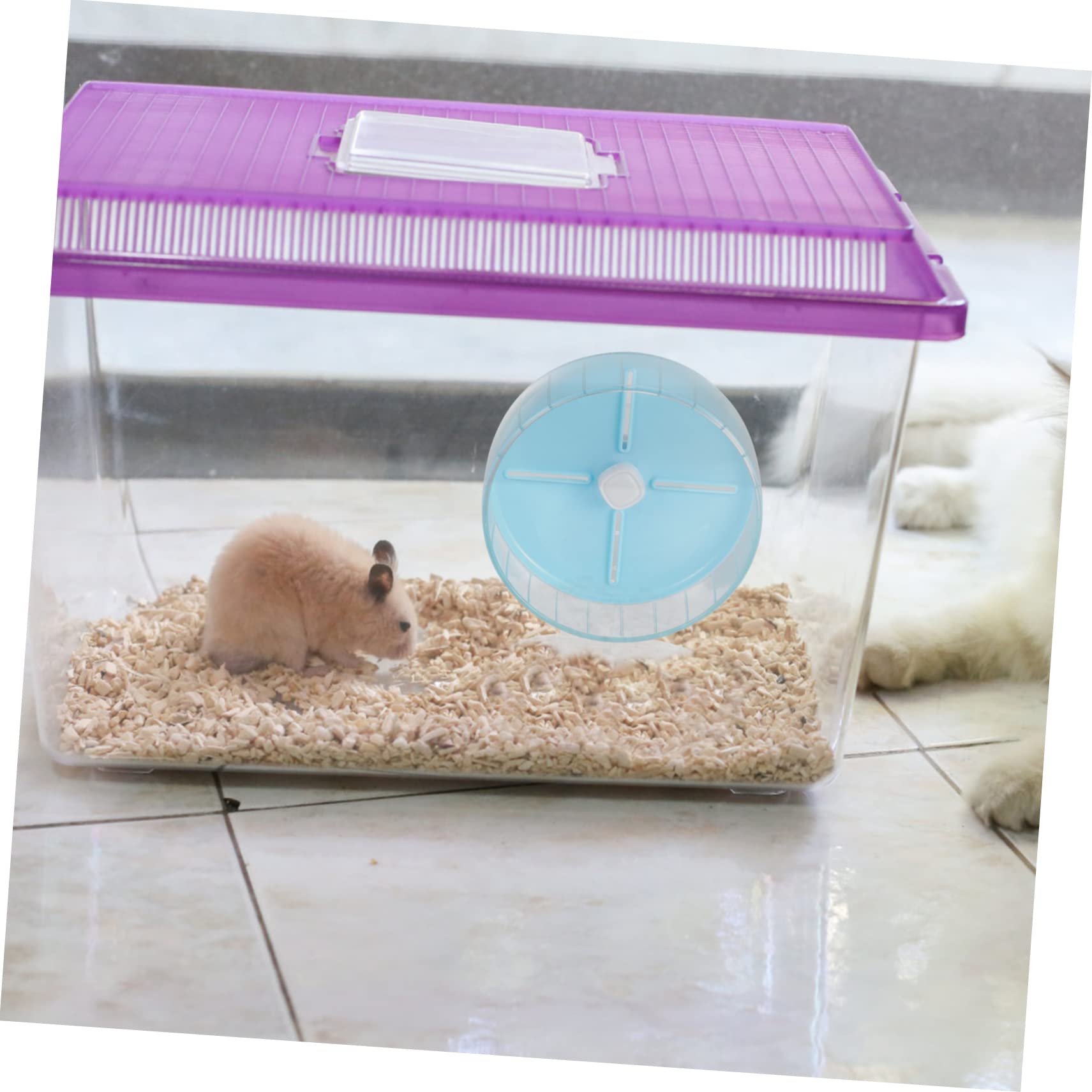 BESPORTBLE Rueda De Ejercicio para Hámster Rueda Silenciosa Juguete para Mascotas