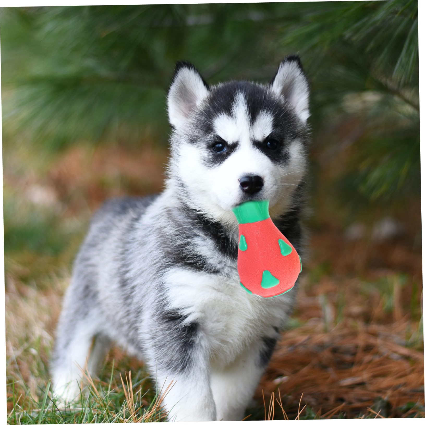 BESPORTBLE 8piezas Juguetes Interactivos para Cachorros Juguetes Molares para Perros Pequeños y Medianos Accesorios Adorables para Mascotas Sonido y Diseño De Frutas Piña y Pitaya