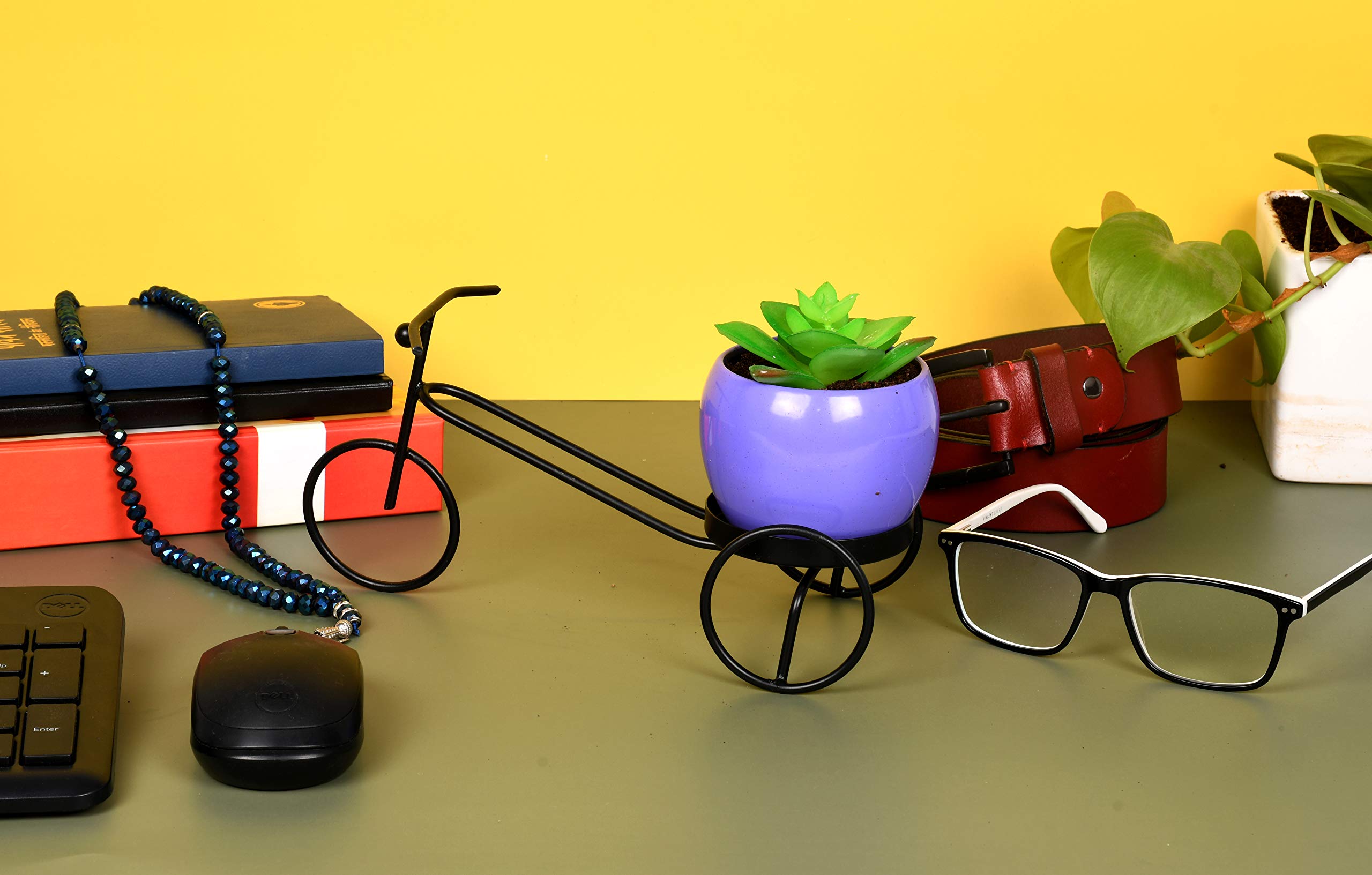 HINS Black Cycle Riksha with Metal Round Shape Flower Plant Pot for Indoor Plants (Purple, Standard) Metal Pots for Indoor Plants I Elevated Garden Planter I Raised Planter I Desk Plant I Raised (B08X1HLW8Q) Amazon Price History, Amazon Price Tracker