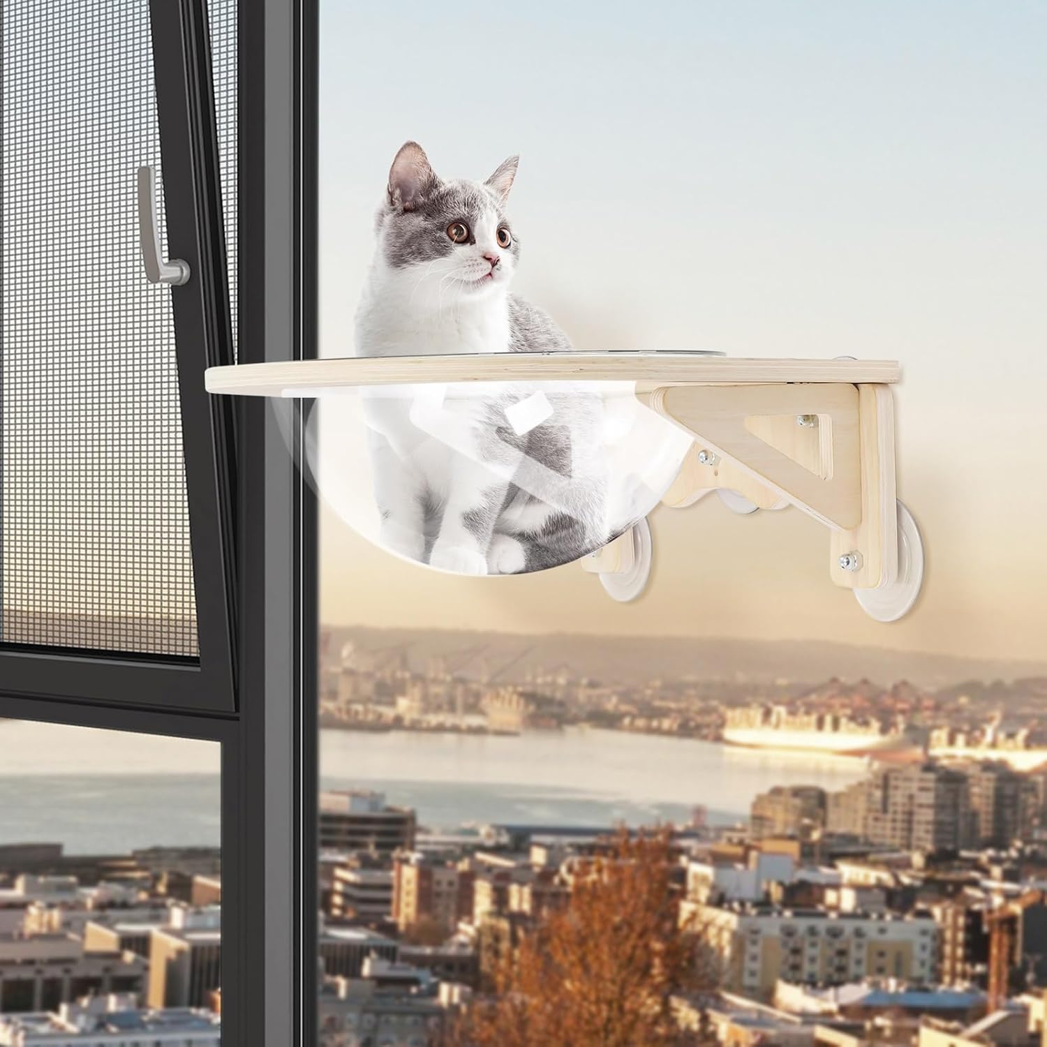 Space Capsule Style Transparent Cover Cat Bed,15.8 * 15.8 * 6in Wall Mounted Cats Shelf House,Perch Seat for Sleeping,Thai Rubber Wood,for Living Room Pet Room,Load of 16.5 Lbs.