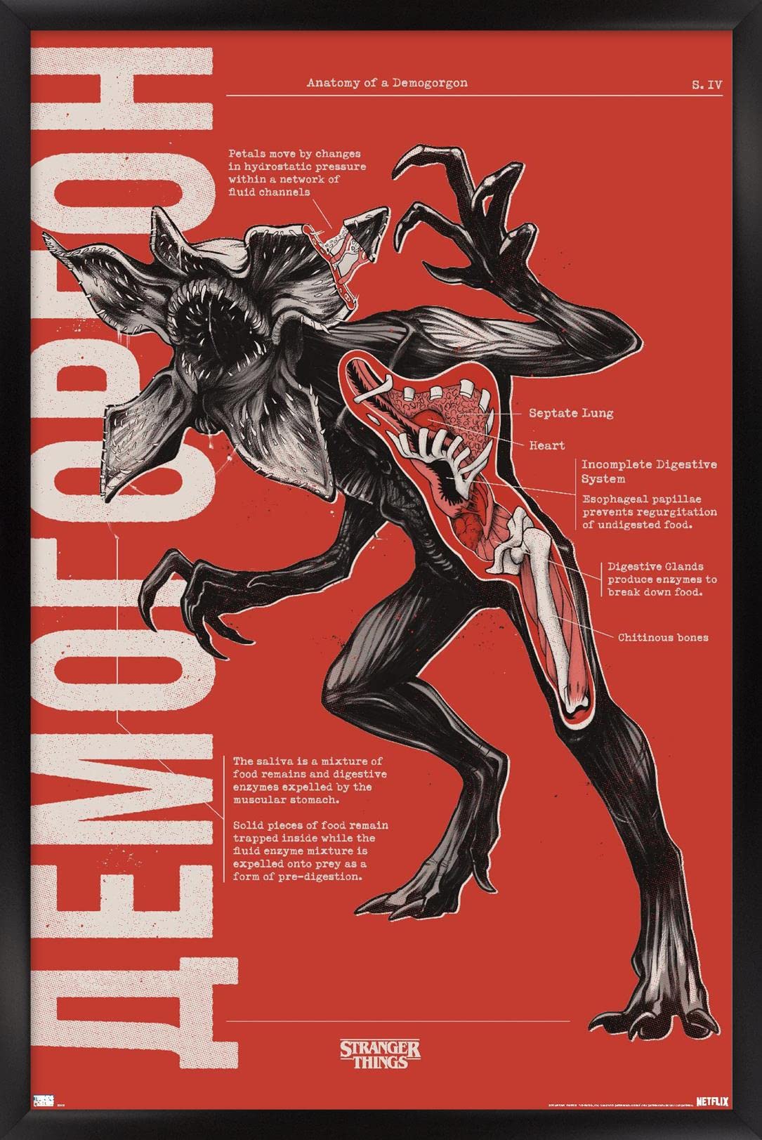 Netflix Stranger Things: Season 4 - Demogorgon Anatomy Wall Poster