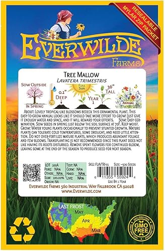 Miniatura 2 de Everwilde Farms - 500 semillas de flores silvestres de malva rosa - Paquete de semillas jumbo Gold Vault