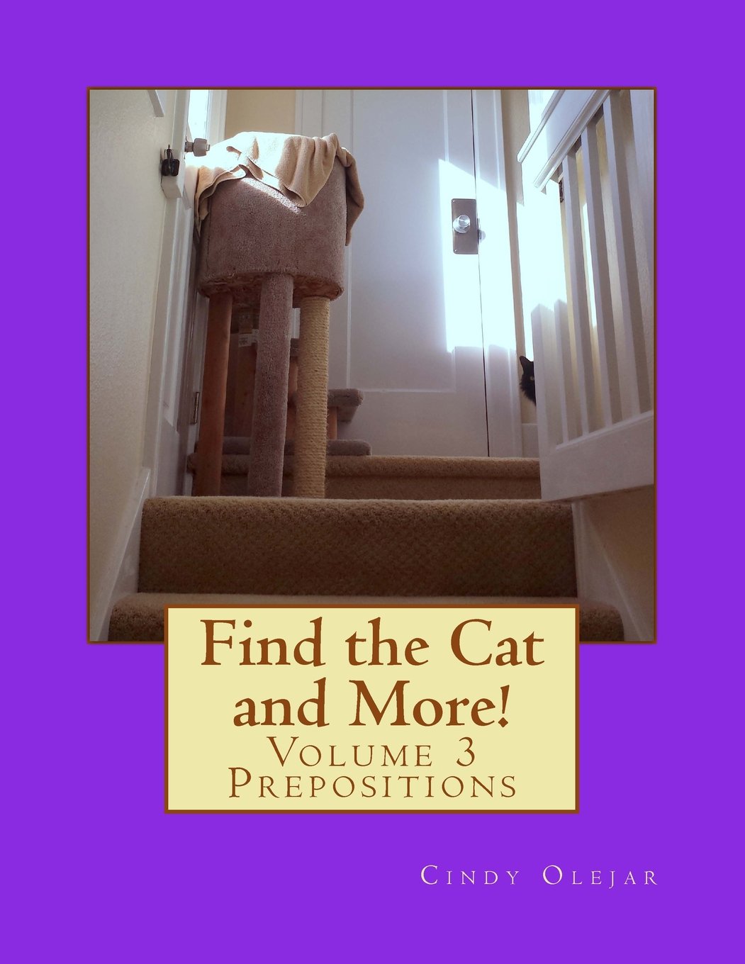 Find the Cat and More! Volume 3