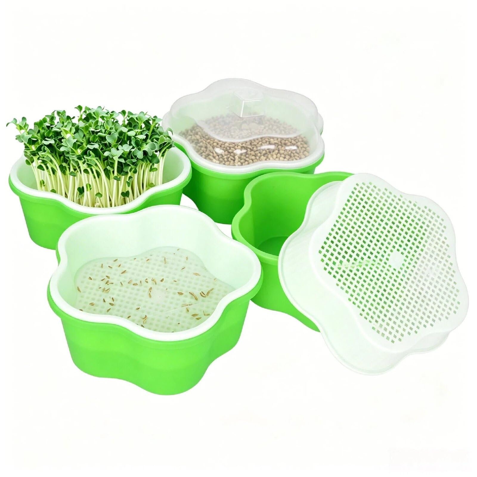 Grande Ciotola per Germogli, 18 cm, 4 Pezzi, Vaso per Germinazione, Coltivazione di Piantine, Piselli e Erba di Gatto, Plastica Senza BPA