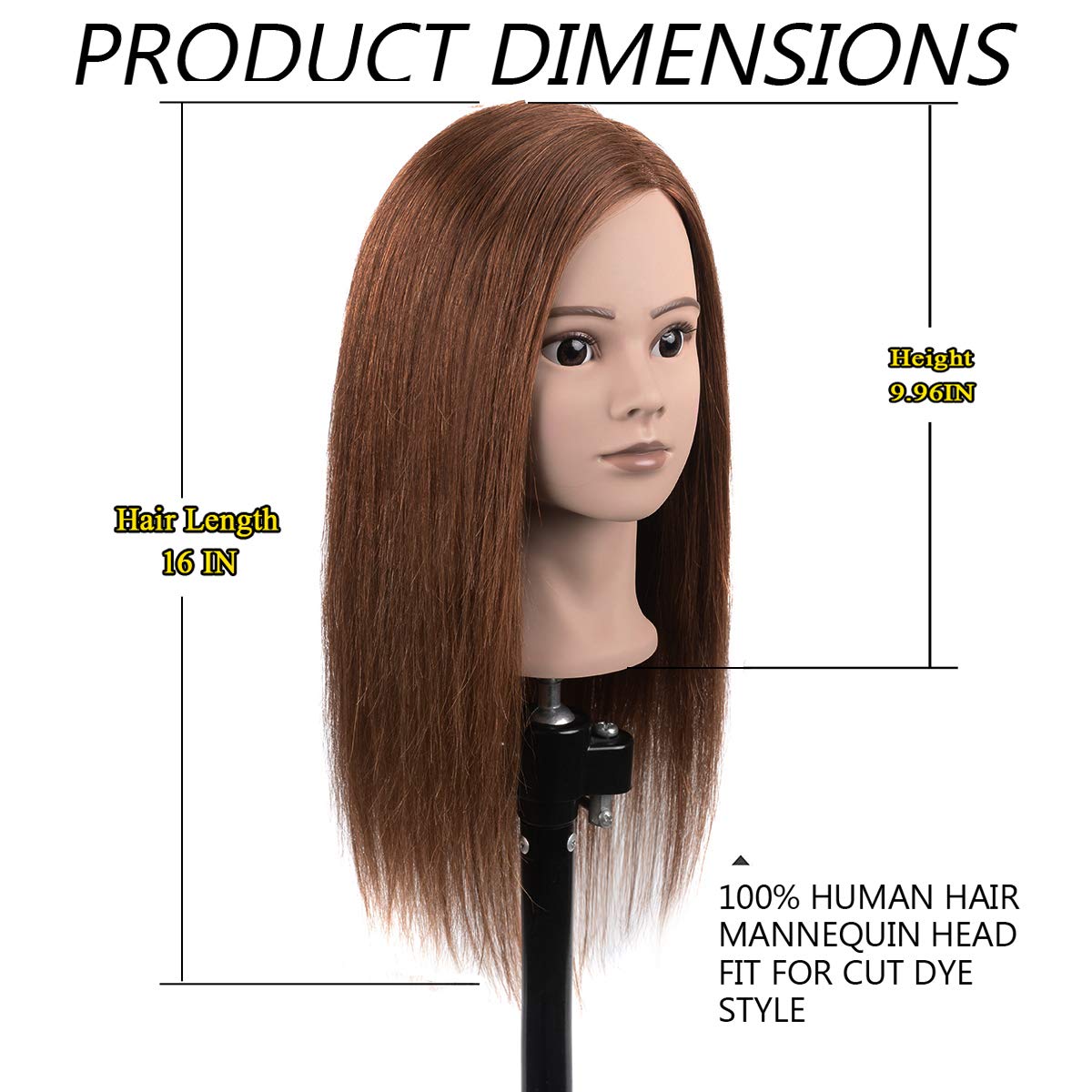 Buy Mannequin Head With 100 Human Hair Training Head For Hairdresser
