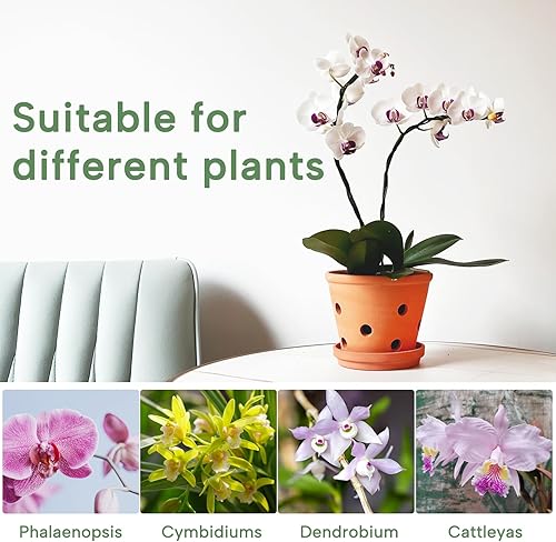 Miniatura 5 de Macetas de orquídea de terracota de 6 pulgadas con agujeros y platillos, paquete de 3 macetas de orquídeas de arcilla para trasplantar, maceta