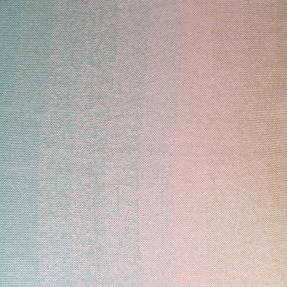 Scheepjes Whirl 1x1000m - 795 Pastel Parfait