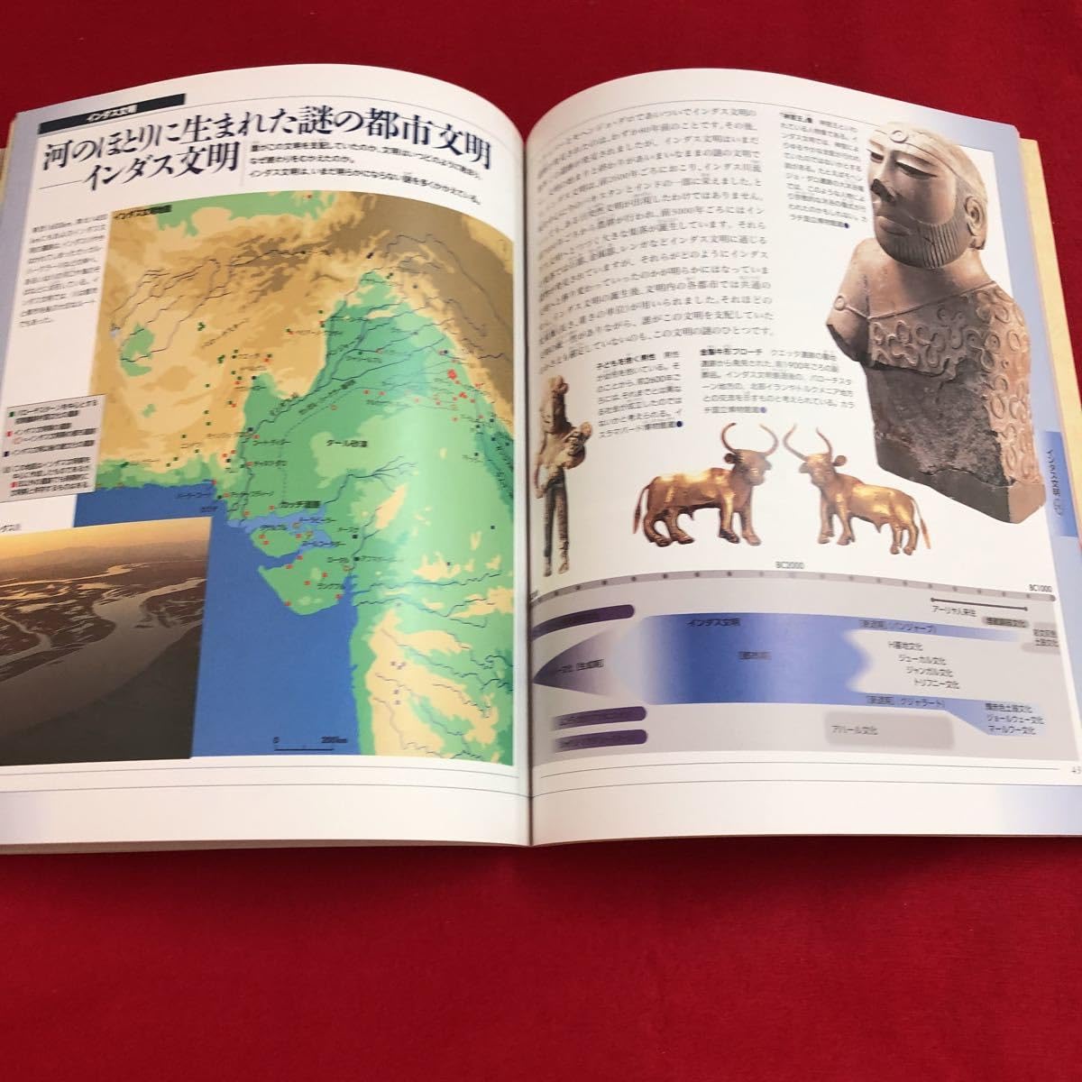 Amazon | M6g-233 世界四大文明 ガイドブック ジュニア版 中国文明