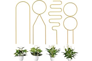 4 Pcs Mini Plant Support Trellis