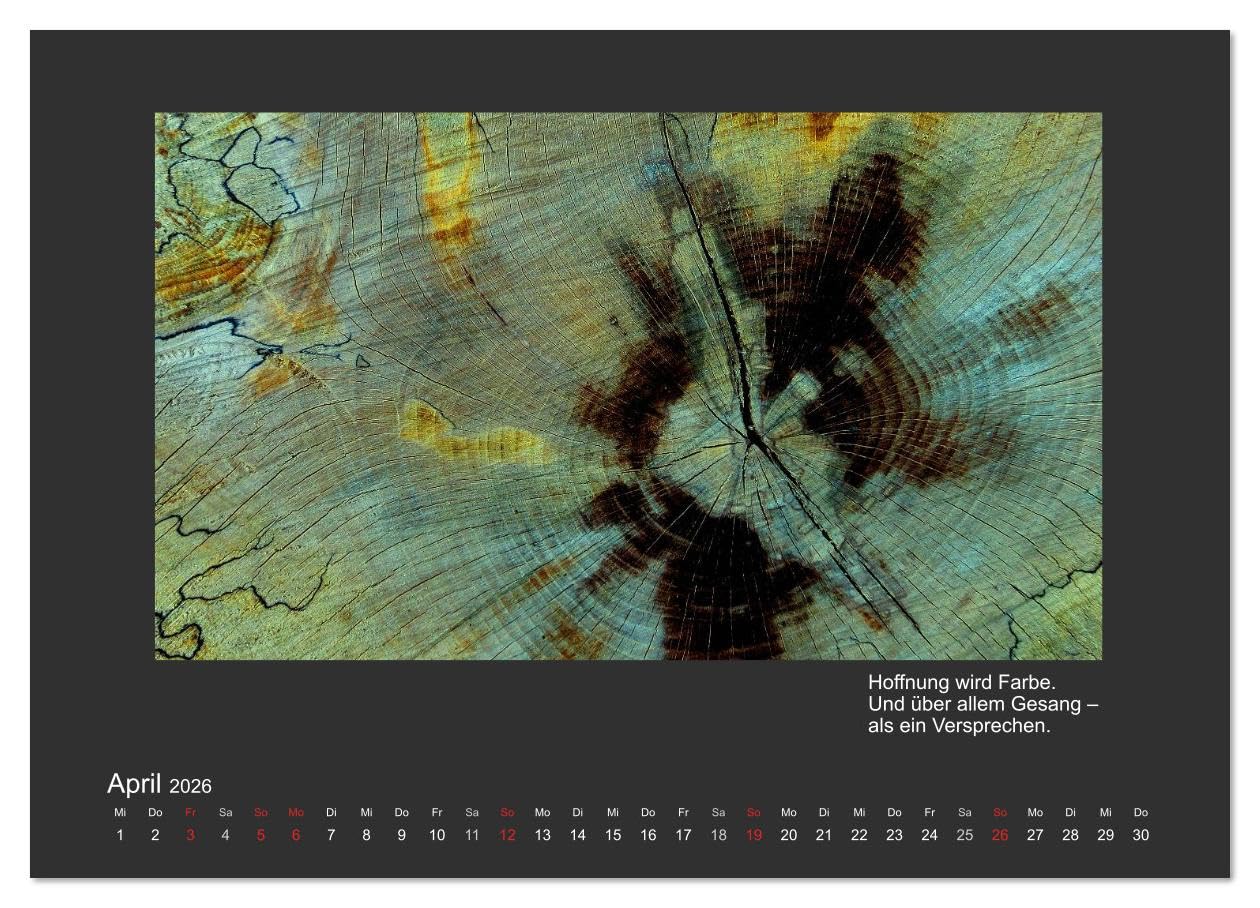 MAGIE HOLZ 2026 (hochwertiger Premium Wandkalender 2026 DIN A2 quer), Kunstdruck in Hochglanz: Holzfotografien mit Haikus (CALVENDO Natur)