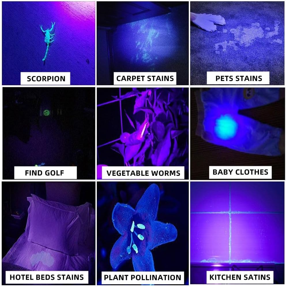 Various items fluorescing under UV light, including scorpions, carpet stains, pet stains, and plant pollination