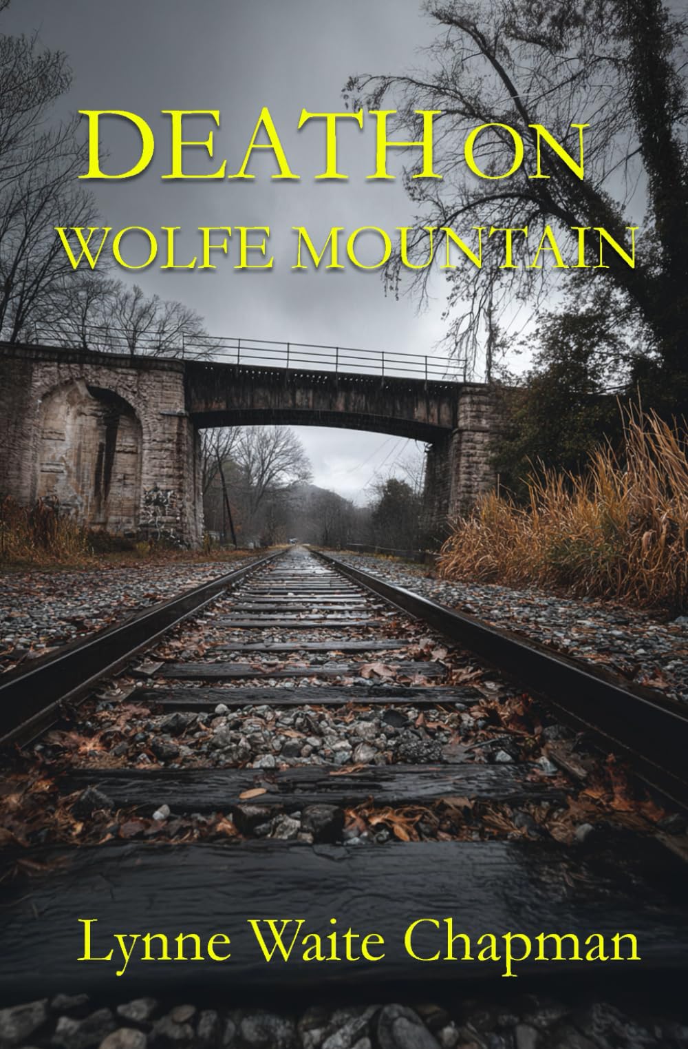 Death on Wolfe Mountain