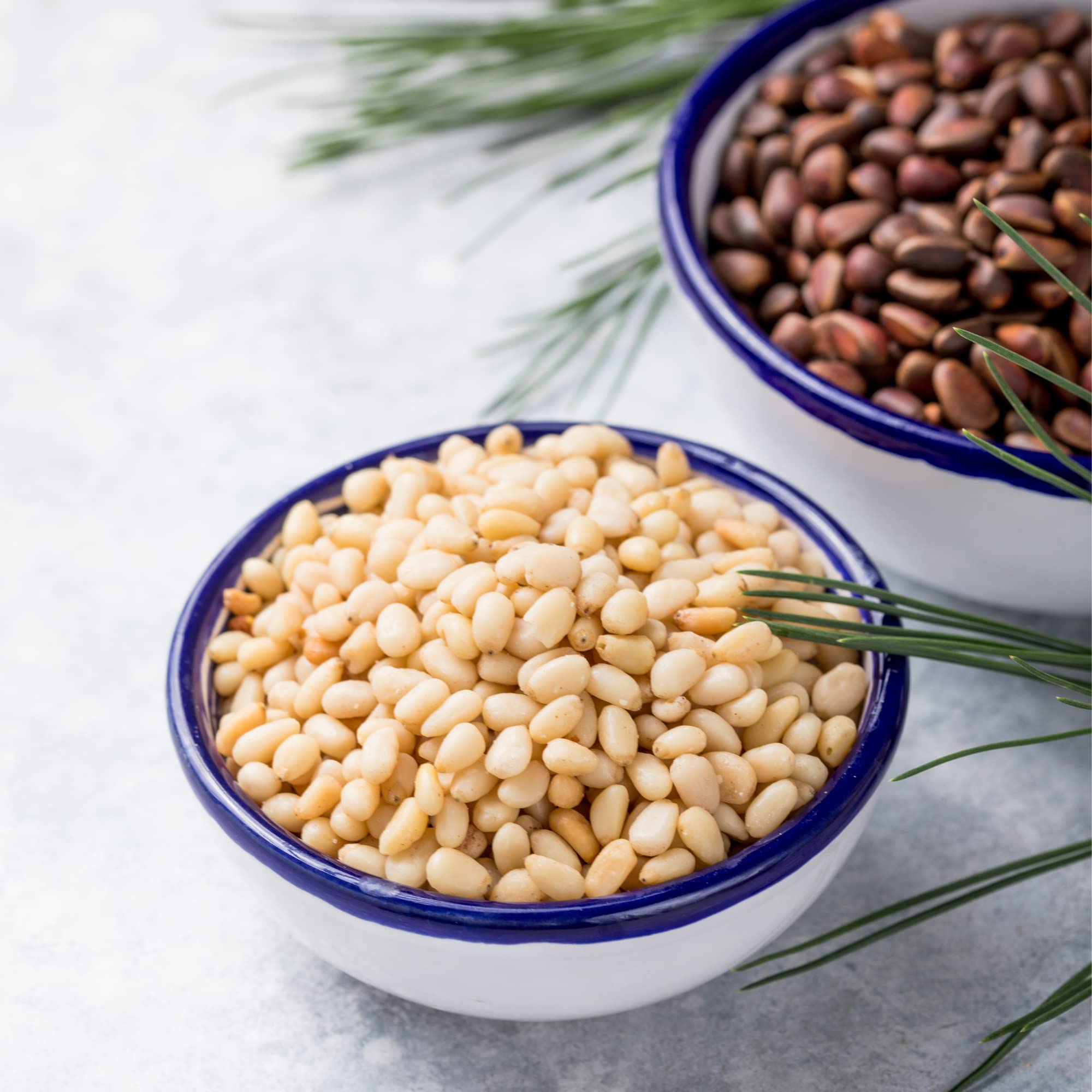 BIO Zedernkerne (1kg), Zedernnüsse geschält aus kontrolliert biologischem Anbau, laborgeprüft, Bio Zedern Kerne ganz 100% rein und naturbelassen