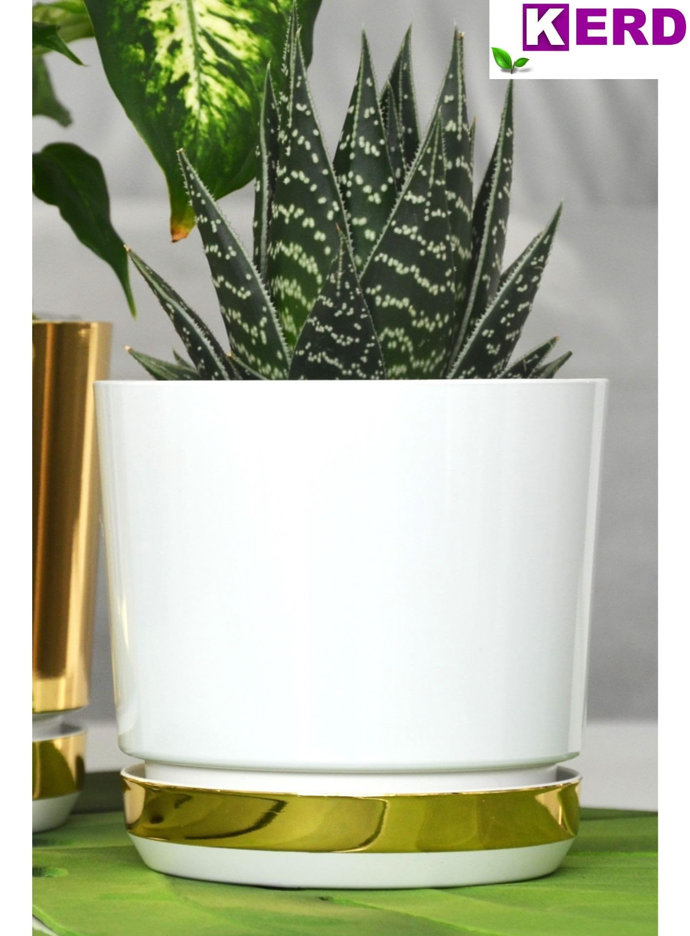 KERD Duo Pot De Fleur Rond 32 cm Blanc & Doré – Plastique Recyclé – Décoré Manuellement – avec Soucoupe – Drainage Intégré – Brillant – Fabriqué en Europe