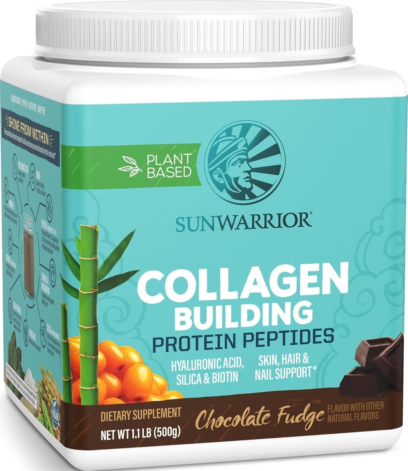 Collagen Protein Plant-Based Powder (20 Servings (Pack of 1), Chocolate)