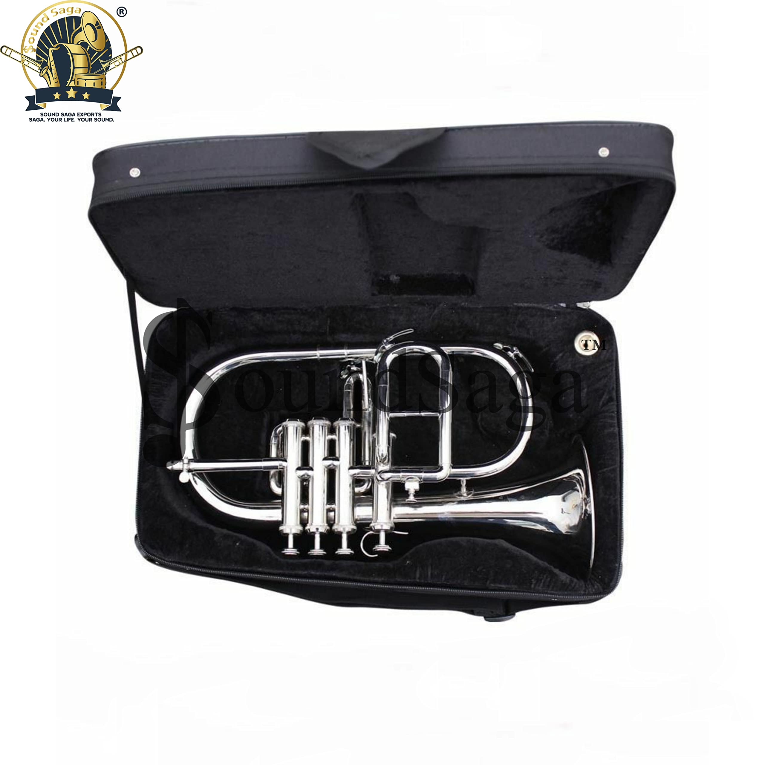 Fluge Horn 4 Valve Bb Pitch Including Mouthpiece and Carry Case (SILVER)