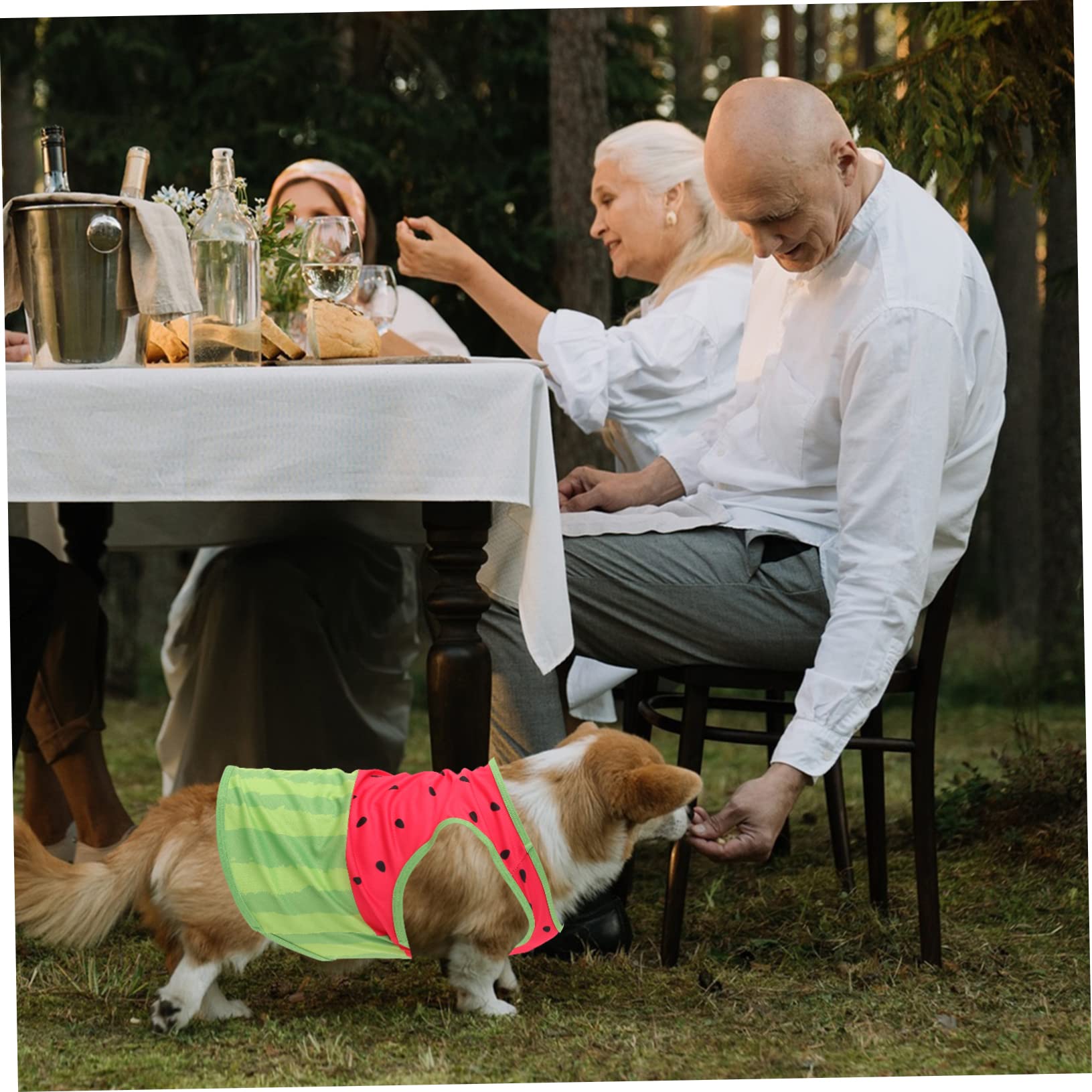 Gilet Rafraîchissant pour Chien Pastèque, Soie, Tailles L XL, D'été