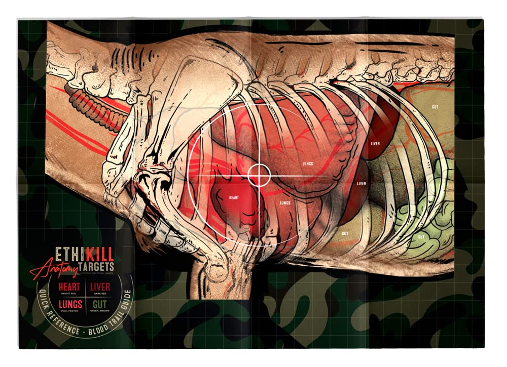 Life Size Deer Vitals 2 Sided Paper Range for Archery & Rifle Hunters by - Realistic Illustration - 19x27 inches (5 Pack)