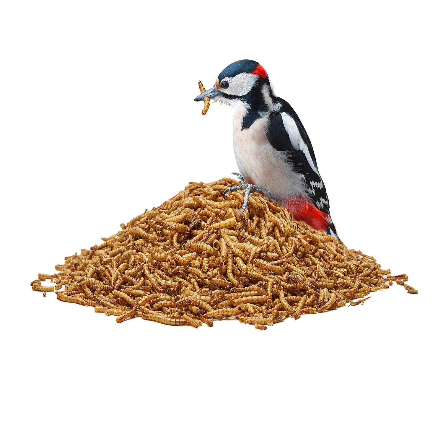 Paul's Mühle Mehlwürmer getrocknet 5 kg Premiumqualität