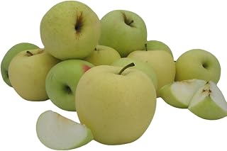 Kauffman Orchards Fresh Golden Delicious Apples, Hand-Picked, Non-Waxed, Grown in Pennsylvania (Box of 16 Apples)