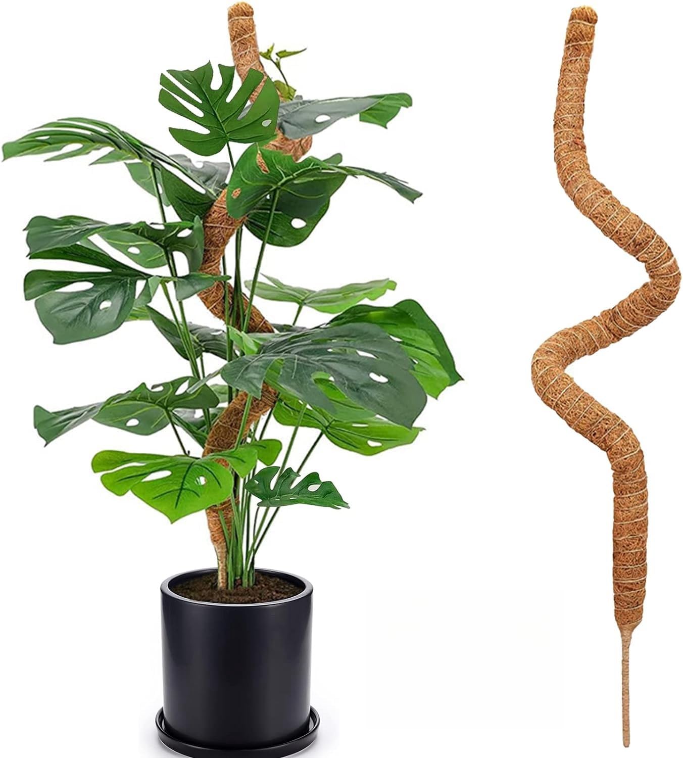 Poteau en mousse de 122 cm, poteau en mousse pliable pour plantes en pot, grand poteau en mousse pour plantes grimpantes d'intérieur, grand support de poteau en fibre de coco, poteau en mousse