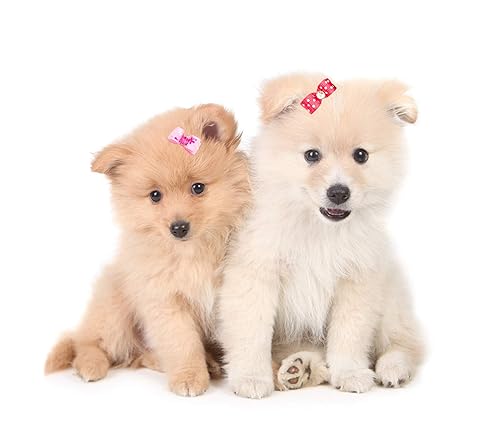 Miniatura 6 de JpGdn 100 unidades50 pares de mini lazos de pelo para perros pequeños de 0.98 x 0.39 pulgadas para extra, niña, cachorro, gato, gatito, conejo,