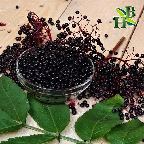 Miniatura 4 de Herb to Body Baya de saúco orgánico entera  Wildcrafted  4oz  Empaquetado con cuidado  hace un gran jarabe, tés  Sistema inmunológico