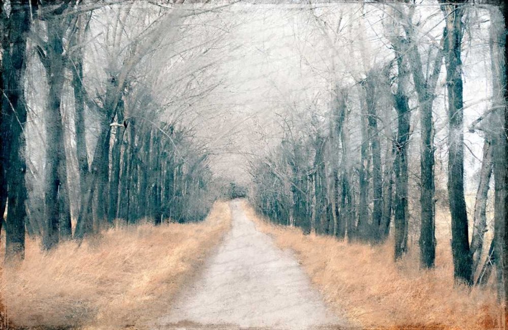 Feeling at home KUNSTDRUCK auf MATTE PAPIER 220gr Weg im Nebel Allen Kimberly - Landschaft horizontal Poster Landschaften Lodge. Bild auf Papier cm_66_X_101