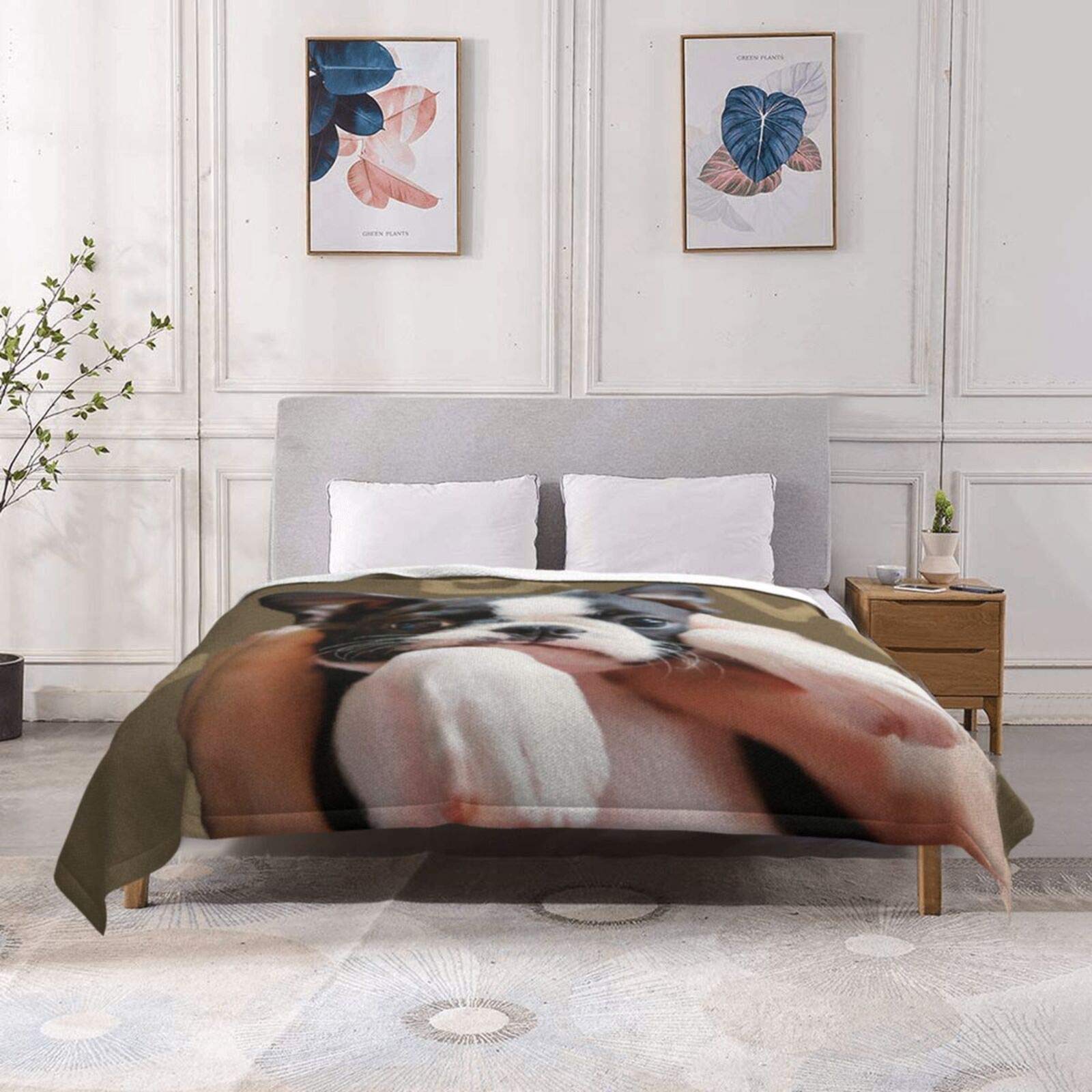 JUZGTSIT Boston Terrier Ultra-Soft Fleece Blanket Flannel Velvet Plush Throw Blanket
