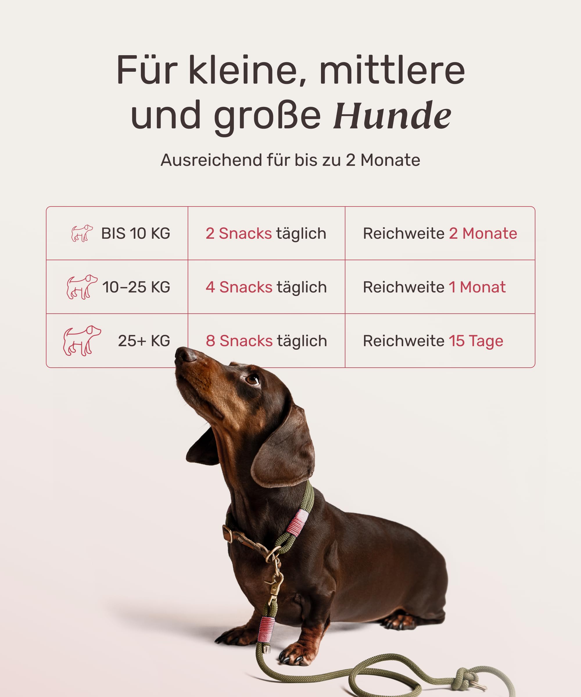11-in-1 Gras und Kotfresser Drops Hund - Happy Tummy 120 Snacks (350g) von mammaly - Gegen Kot und Grasfressen für Hunde - Unterstützt bei Sodbrennen den Magen & Darm - Mit Ulmenrinde, Probiotika, ...