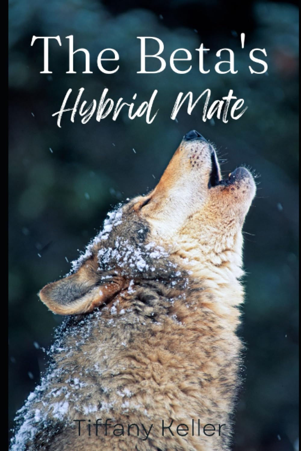 The Beta's Hybrid Mate (The River Pack Series)